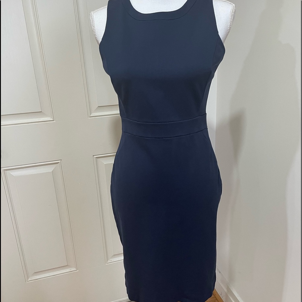 J. Crew Dress